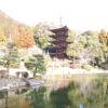 転勤,山口市